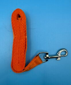 Alternative view of Small Dog Lead Leash 120cm x 1.5cm Nylon Webbing Walking Lead - Choose Colour