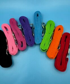 Small Dog & Puppy Lead Leash 120cm Webbing Walking Lead