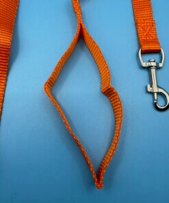 Small Dog & Puppy Lead Leash 120cm Webbing Walking Lead