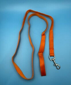 Small Dog & Puppy Lead Leash 120cm Webbing Walking Lead