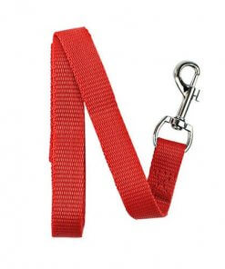 Dog Leash / Lead - Small - Choice of 8 Colours - Red