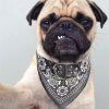Cute Dog/Cat Collar with Paisley Bandana