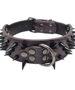 Large Spiked Tyson Leather Dog Collar