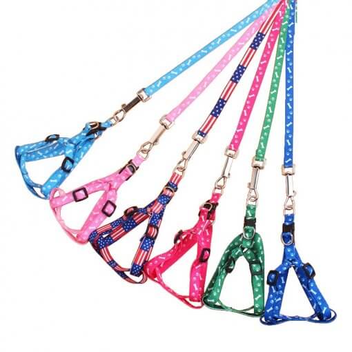 Dog Harness & Lead Set for Puppy / Teacup Breeds