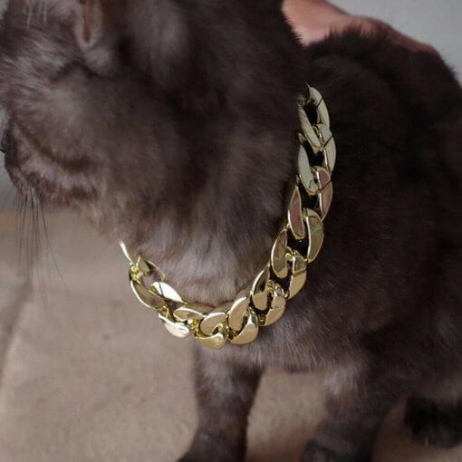 Gold Bling Large Dog Chain Collar / Necklace