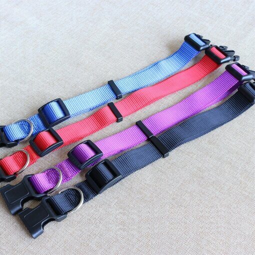 Plain Pet Collar Adjustable with Removable Bell