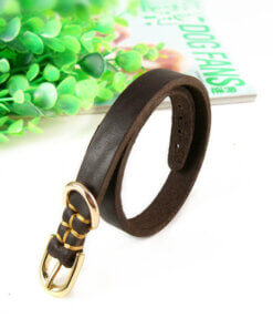 Classic Brown Leather Dog Collar
