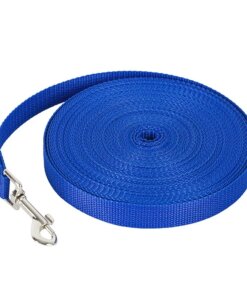 Dog Leash / Lead – Medium – Royal Blue