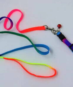 Bright Neon Matching Dog Collar and Lead Set